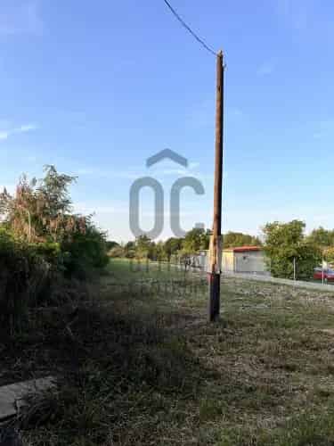 Ceglédi eladó telek 1587 nm Lke-1 beépítéssel