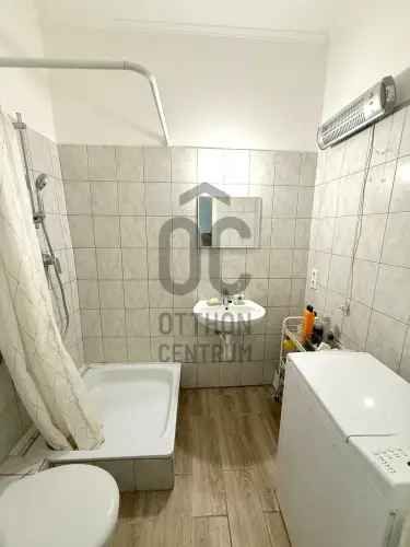 Felujitott Hoboli Családi Haz 3100m2 Telekkel