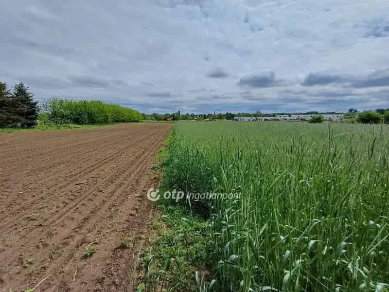 Fejlesztési Telek Nyirszőlősön - 5920 m2