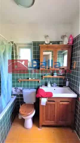 Mogyoród családi ház eladó 3 nyaralóval 4488m2 telken