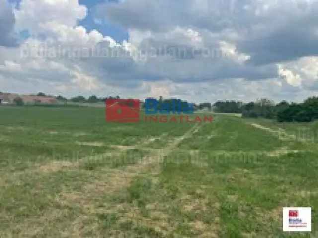 Ráckeresztúr Telek Eladó 25272 m2 Befektetésre is Alkalmas