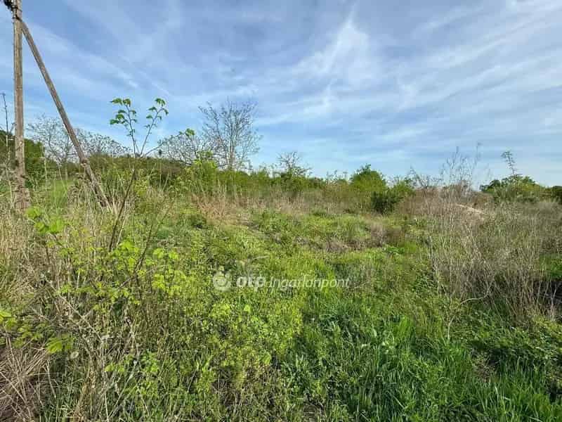 2388 m2-es Telek Elado Ujlorincfalvan Tisza-to Kozelben