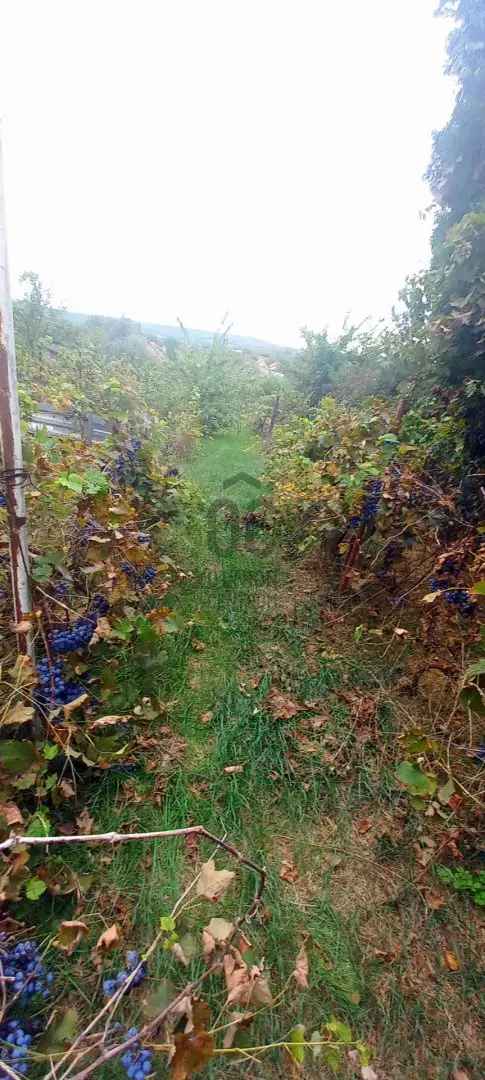 Telek eladó Mogyoródon panorámás zöld övezeti területen