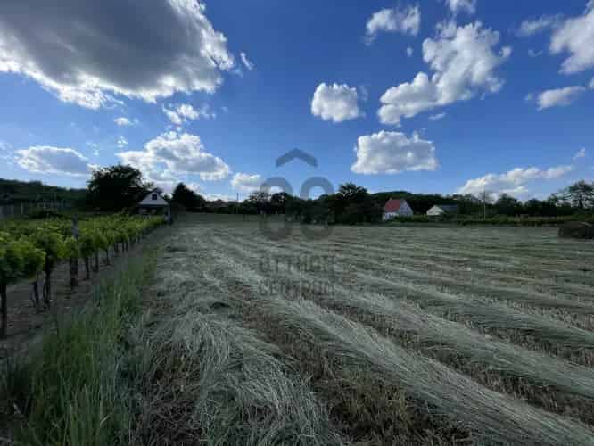 Szekszárdi Építési Telek Eladó Szőlőhegyen