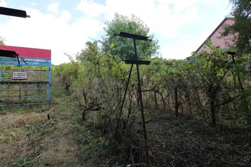 Építési Telek Eladó Bükkalján Tibolddarócon