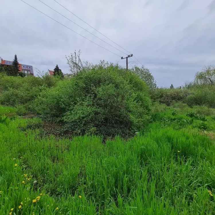 Eger Szépasszonyvölgy Belterületi Telkek Elado