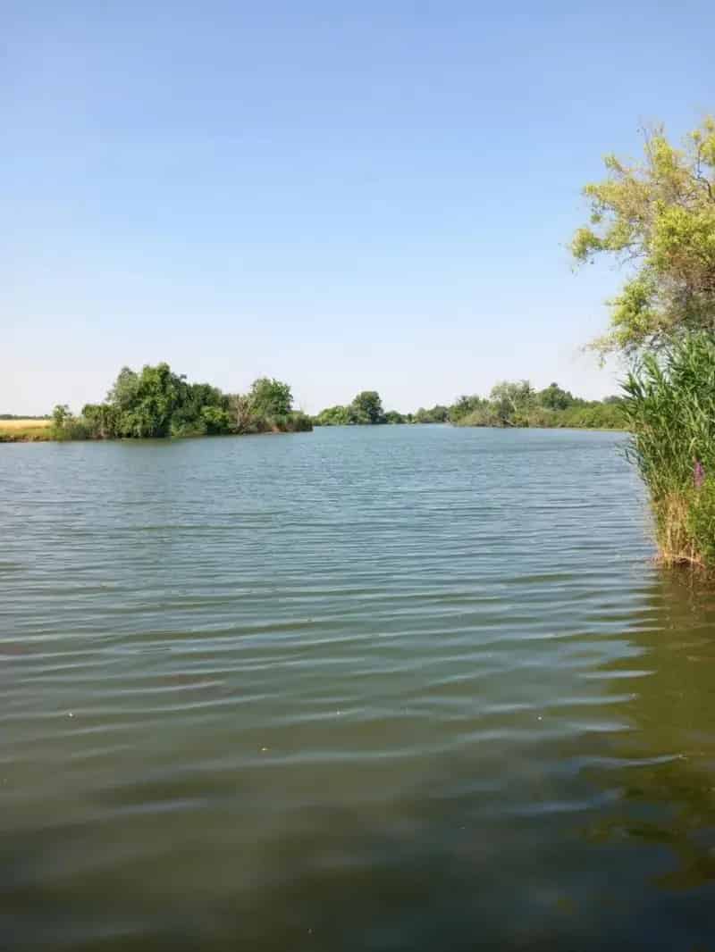Békésszentandrás Sirató Holtág 10000nm-es tanya eladó 72m vízparttal