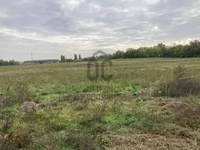 Kecskeméti Mezőgazdasági Ingatlan Eladó 29000 m2
