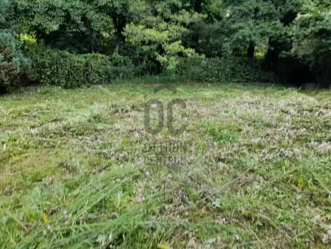 Verőcei eladó telek 636m2 - Gyümölcsös, hétvégi háznak, befektetésnek