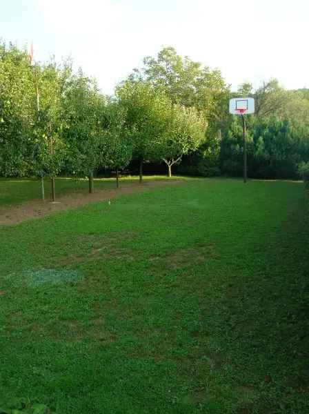 Nyaraló Kiadó in Balatonalmádi járás, Dunántúl