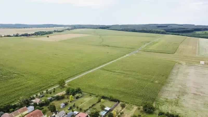 Balaton Parti Családi Ház Eladó