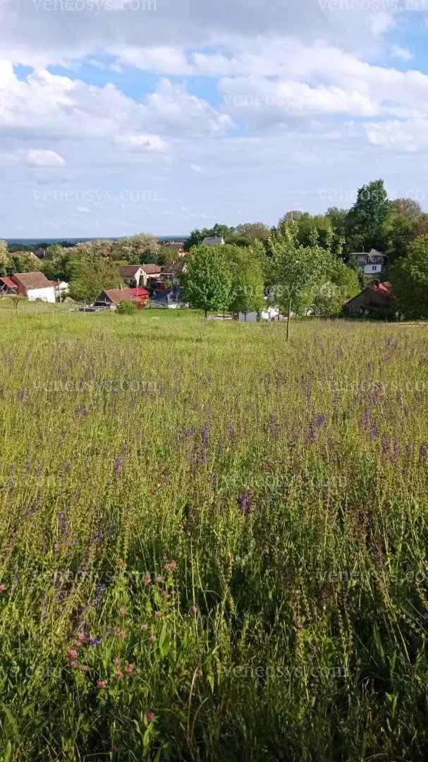 Zártkerti ingatlan eladó Zalakaroson panorámás telekkel