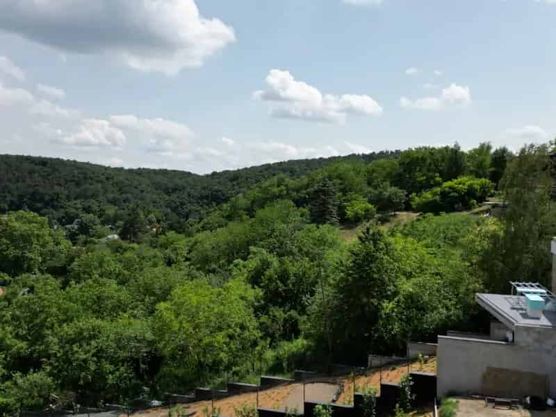 Telek és hétvégi ház eladó erdő mellett