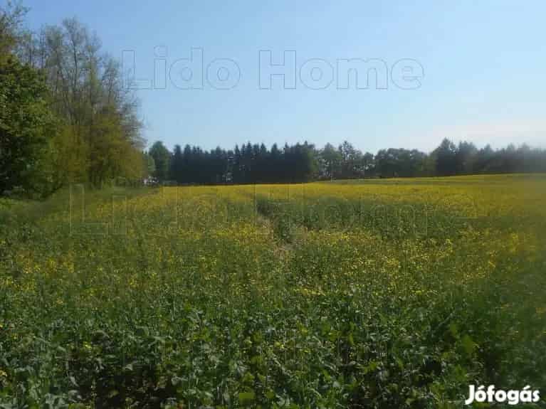 Olaszfa panoramas tanya elado gazdalkodásra alkalmas