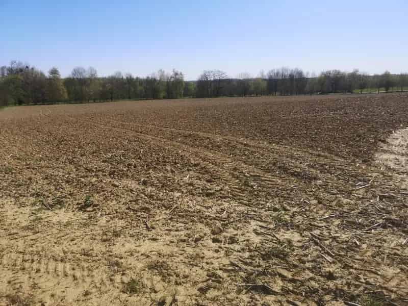 Zalakaros szántó eladó 4264 m2