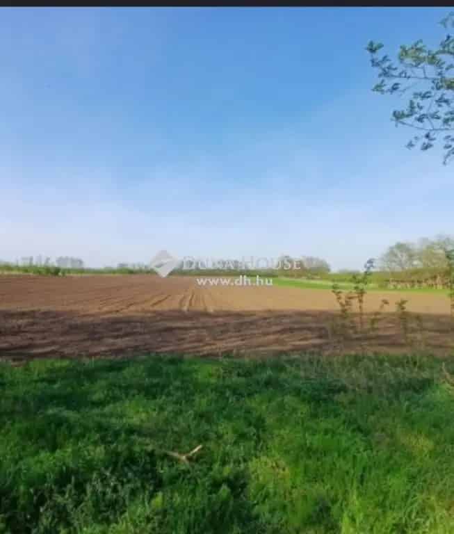 8000m2-es Telek Somogyviszlón Felujítandó Házzal