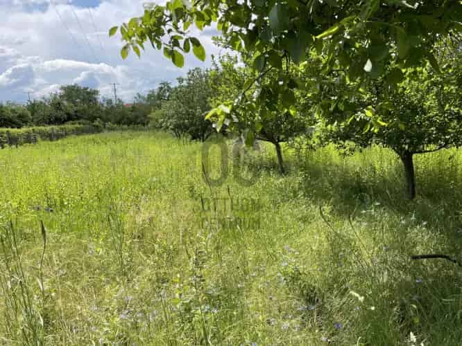 Soproni eladó gyümölcsös 1304 nm T039614
