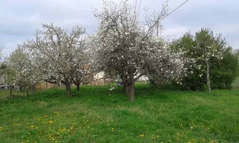 Pápai eladó telek Erzsébetvárosban 1638 nm