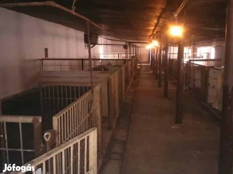 Pályázható sertéstelep eladó Monorierdőn