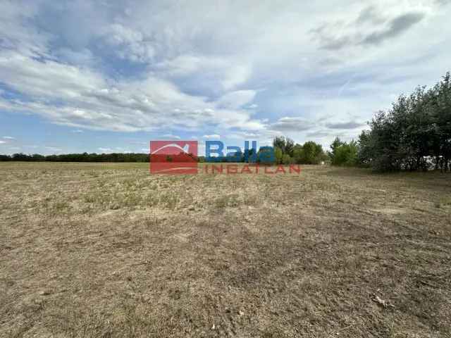 64000 m2-es Telek Eladó Felsőlajoson