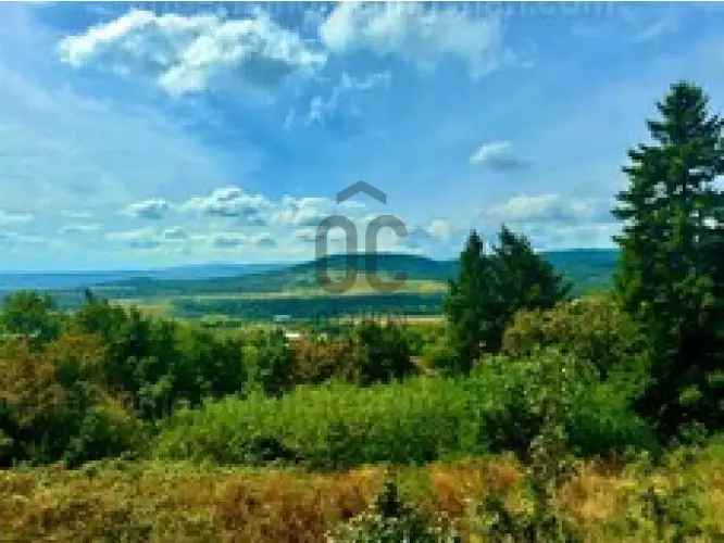 Szentendre örökpanorámás családi ház eladó