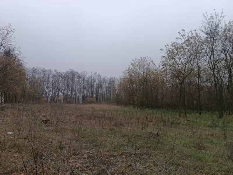 Pusztavacs 7614m2-es Telek Eladó