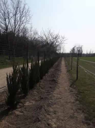 Gödön eladó 7500m2-es mezőgazdasági telek lovardának, tanyaépítésre