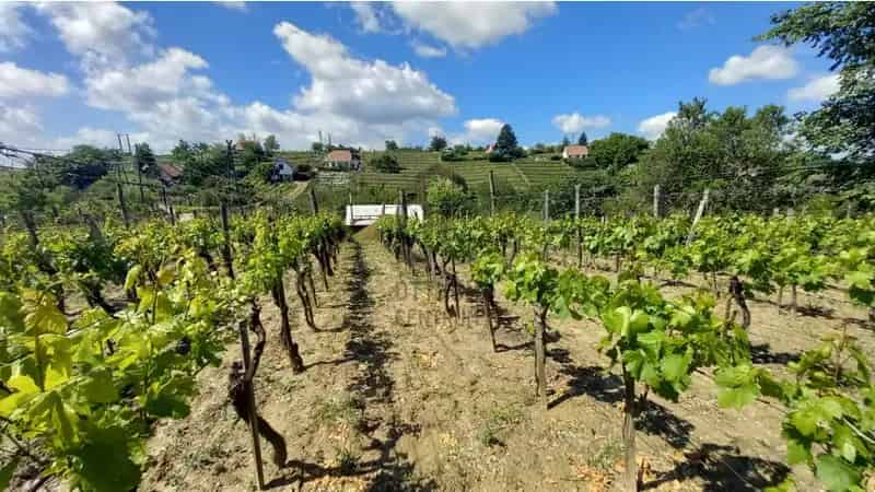 Szekszárdi tanya eladó 1082m2 telken