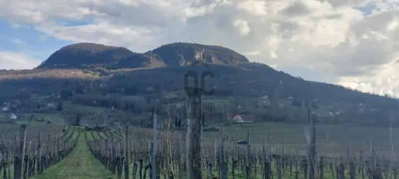 Badacsonytomaj Panorámás Telek Eladó 4724nm