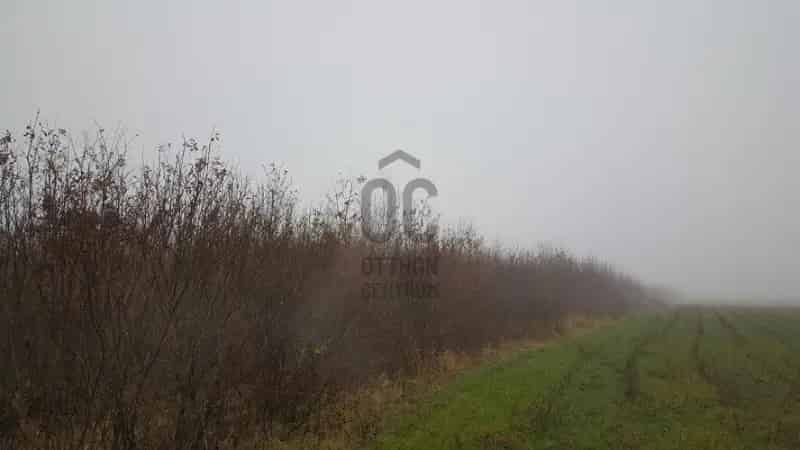Márokpapi 10,4 Ha erdő és földterület eladó