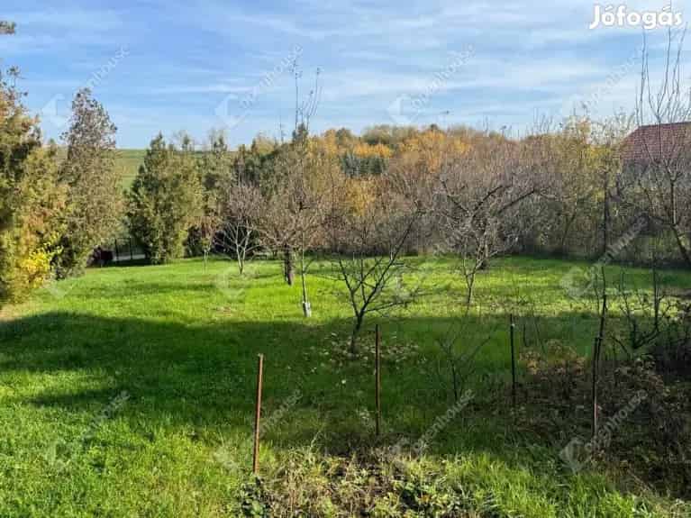Zártkerti Ingatlan Dunaújvárosban Elado 1026 m2 Telek Haz Pincel