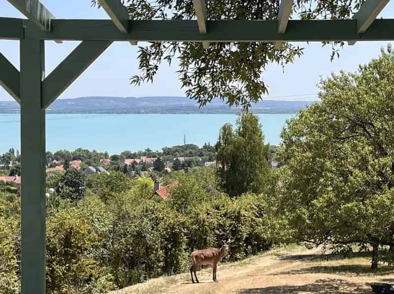 Balatoni Panorámás Nyaraló Révfülöpön Családoknak