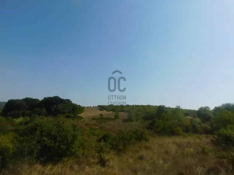 Nézsa tóparti telek eladó - 1725 m2 - CSOK
