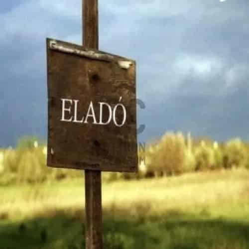 Mosonmagyaróvári eladó telek 427 nm - családi ház építésére alkalmas