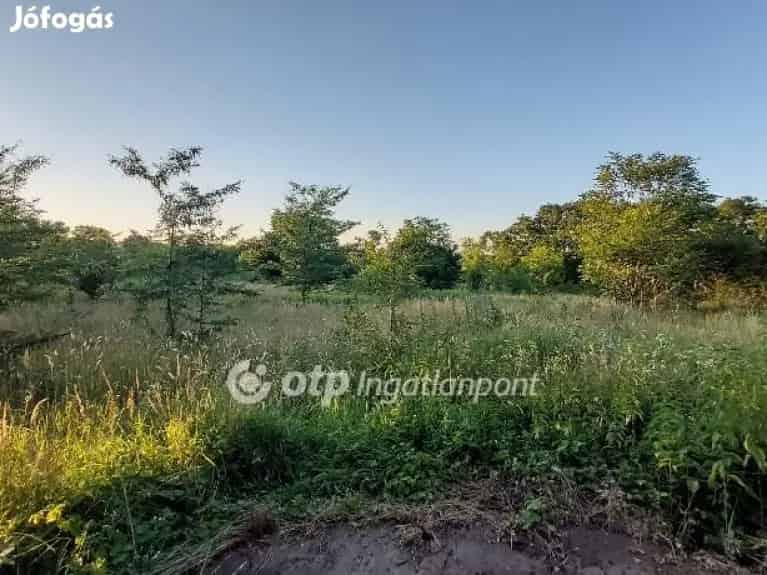Felcsúti építési telek eladó - 979 nm panorámás telek