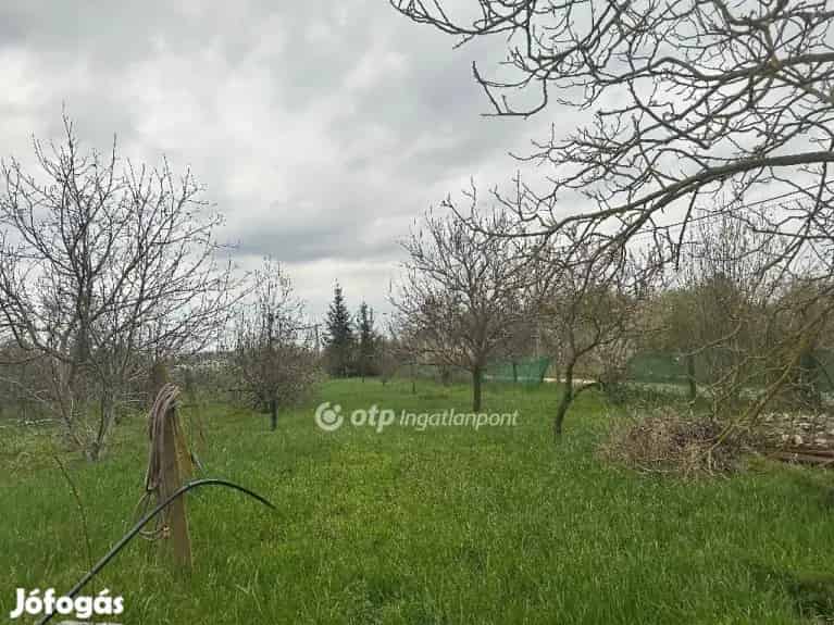Szentesi eladó faház 1416 nm-es telken - Kurca folyó partján