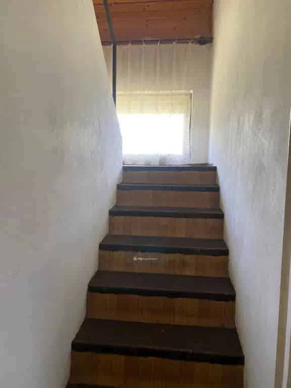 Nógrádsáp családi ház eladó 196 m2 860 m2 telekkel