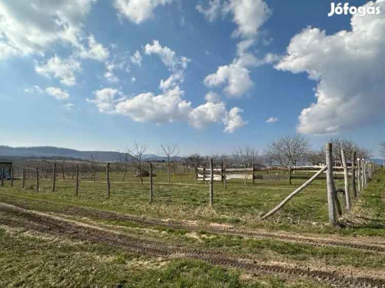 Berkenyei Gyümölcsös Panorámás Telken