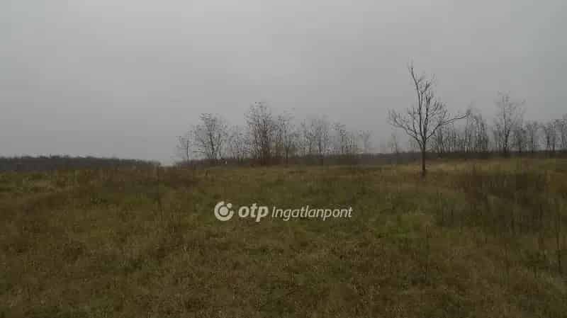 Sükösdi 2606 nm-es Építési Telek Eladó