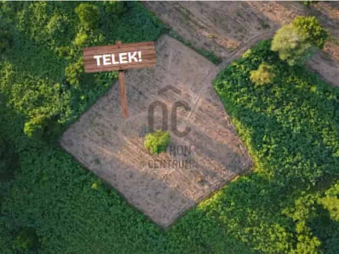 Ráckeve 2830 nm-es telek eladó - Családi ház, hétvégi ház, befektetés