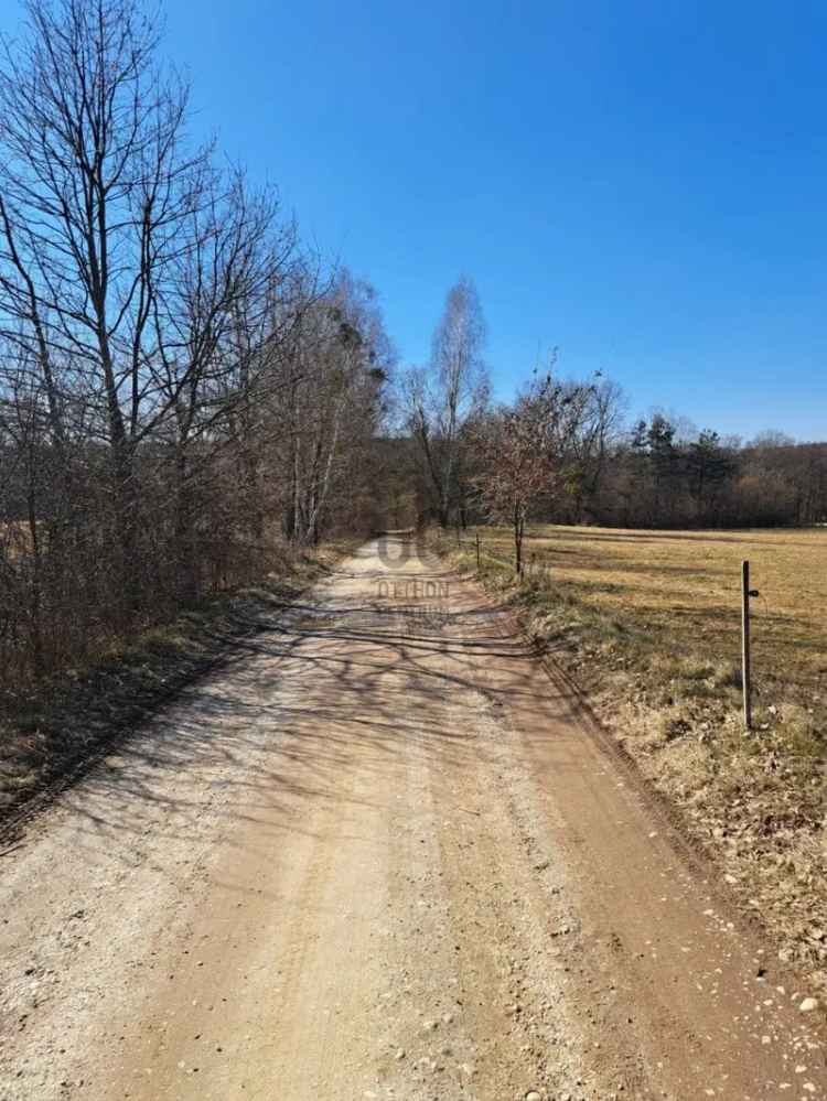 Szalafői Telek Eladó 4986 nm 30 Beépíthetőség