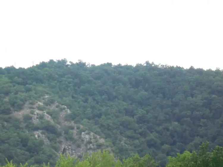 Eladó építési telek Nagykovácsiban panorámás kilátással