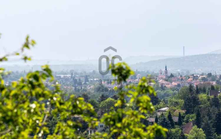 Családi ház eladó Szentendre Petyin csendes zsákutcában panorámával