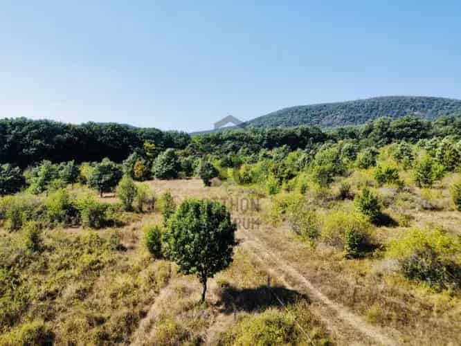 Szentendre eladó mezőgazdasági ingatlan 2000m2