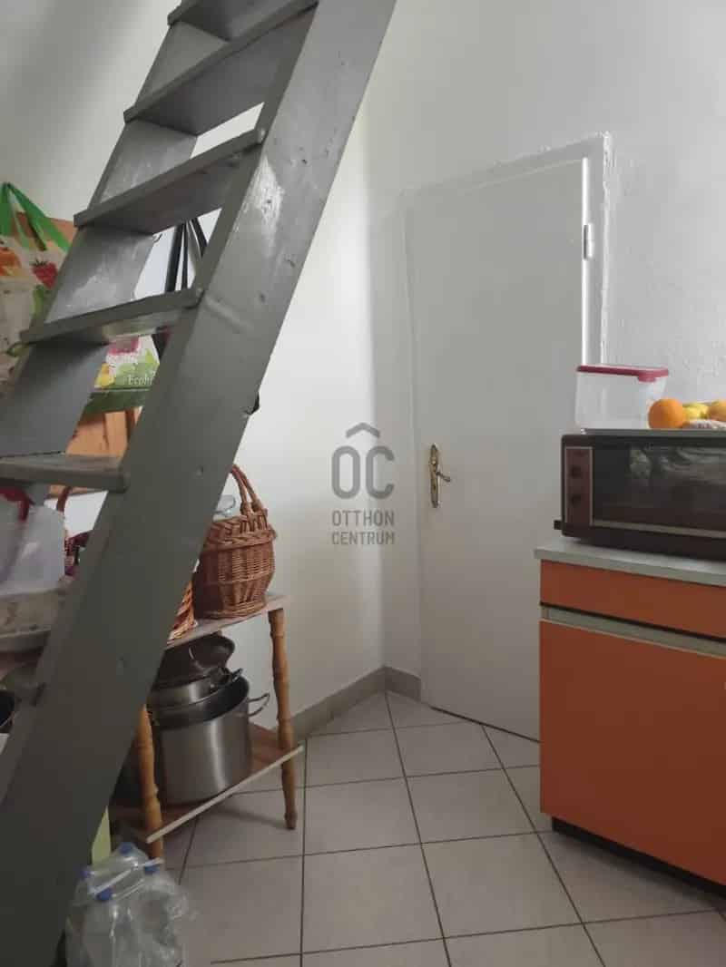 Tokaji családi ház borászat szőlővel eladó