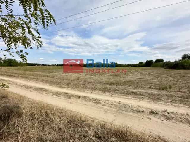 Eladó 64000 m2-es telek Felsőlajoson