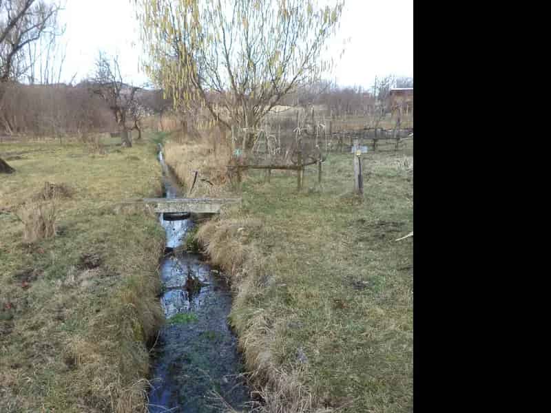3034 nm-es Telek Eladó Gyümölcsfákkal Patakkal És Fúrt Kuttal