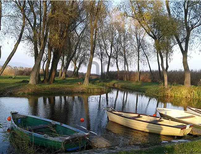 Balatonberényi eladó nyaraló, NY011607