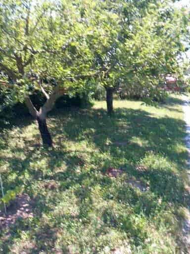 Siófok Töreki külterületi telek eladó 1500 m2