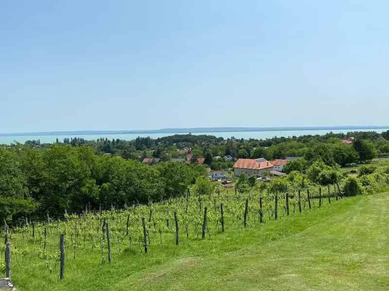 Ábrahámhegyi telek eladó - Balatoni panoráma - szőlő - bővítés